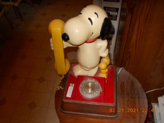 DSCN0372 (1).JPG
