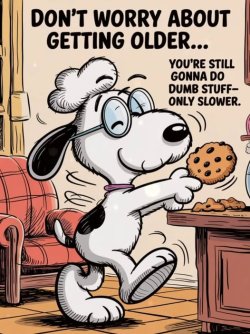 snoopy older.jpg
