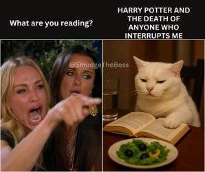 smudge Harry potter.jpg