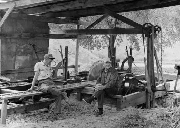 Sawmill A.jpeg