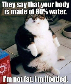 1748172711495.png