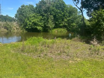 IMG_3865.jpeg