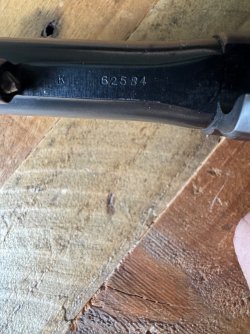 IMG_6369.jpeg