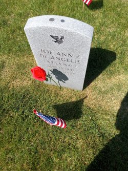 IMG_20250525_103815058.jpg