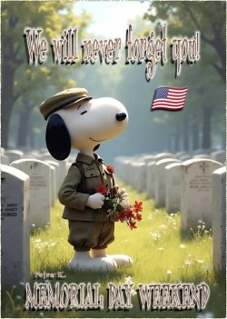 snoopy memorial day.jpg