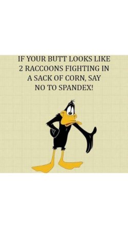 IMG_4711.jpeg