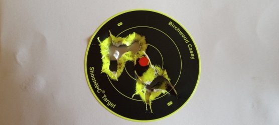 Pietta 1860 target.jpg