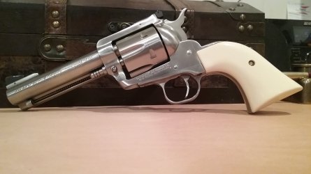 gun bisley2.jpg