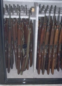 M1 Carbine - Vault.jpg