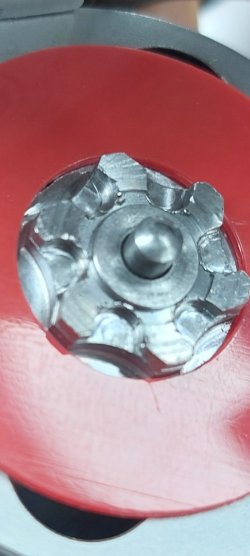1000037802.jpg