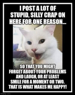 1748287487840.png