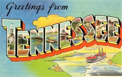 tn.jpg