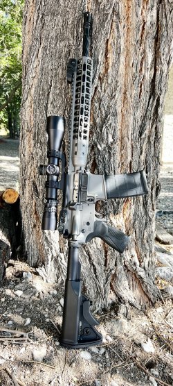 LWRC556.jpg