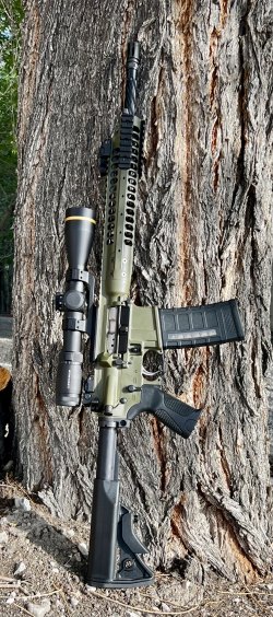 LWRC6.8.jpg