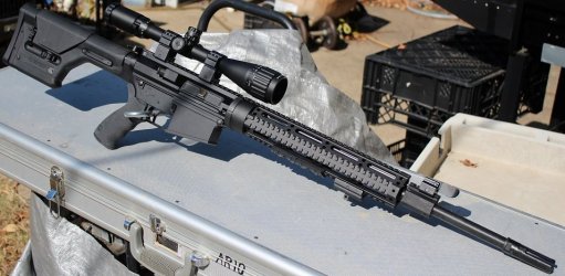 DPMS_RT.JPG