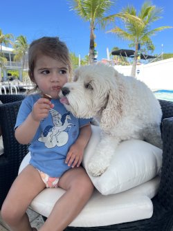 IMG_6939.jpeg