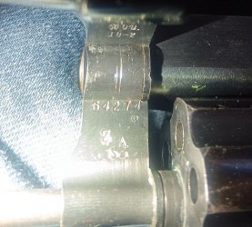 20250528_175726.jpg