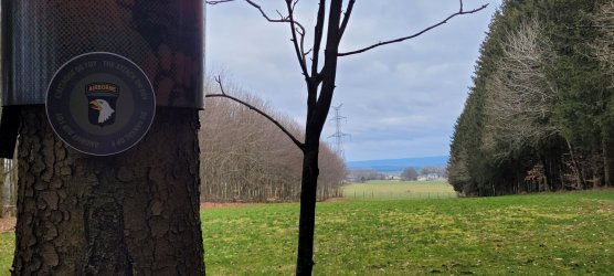 20250317_104158.jpg