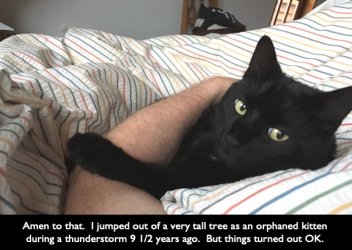Smudge approval._2.JPG