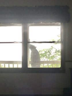IMG_2179.jpeg