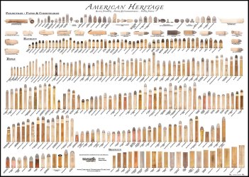 American Heritage Cartridge Poster_.jpg