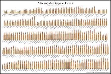 Micro & Small Bore (proprieary & wildcat).jpg