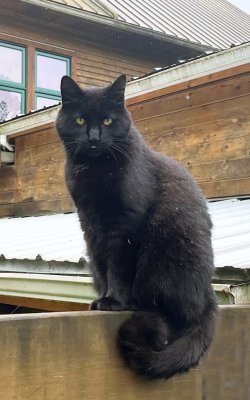 Smudge on wall.jpg