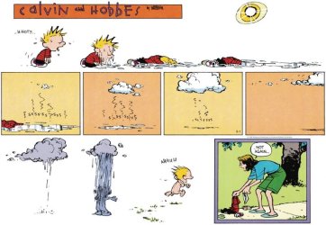 calvin.jpg