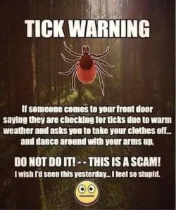 IMG_0234.jpeg