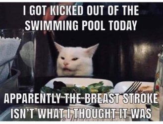 breast stroke.jpeg