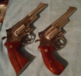 Gila's Model 629-4's_SB and RB.jpg