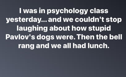 155de5c2-f4b9-469d-a50d-65781d8a0f75-image.png