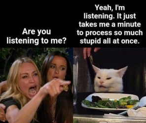 Karen stupid.jpg
