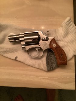 IMG_7253.jpeg