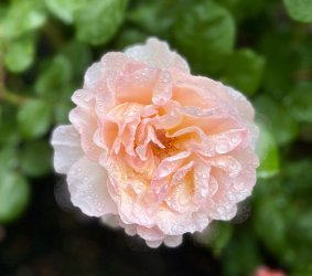 IMG_9413.jpeg