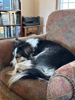 IMG_1565.jpeg