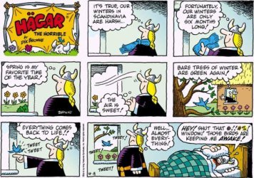 hagar birds.jpg