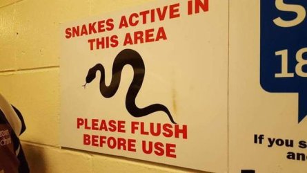 acid_picdump_08.jpg