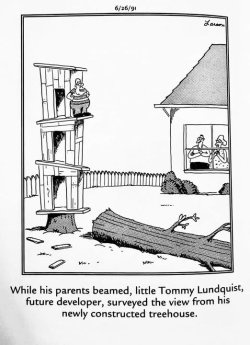 tree house.jpg