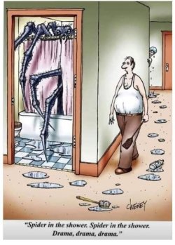 spider shower.jpg