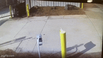 1000003633.gif