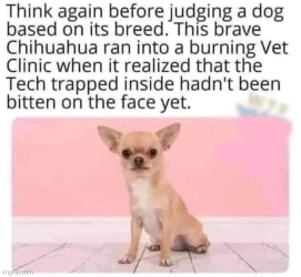 1749234357685.png