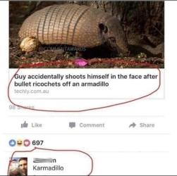 1749234386804.png