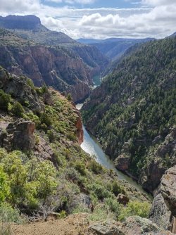 Gunnison-River_from-Hwy-92_3.jpg
