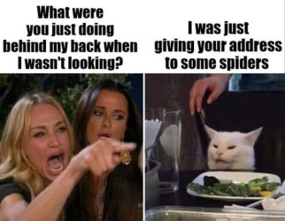 smudge spiders.jpg