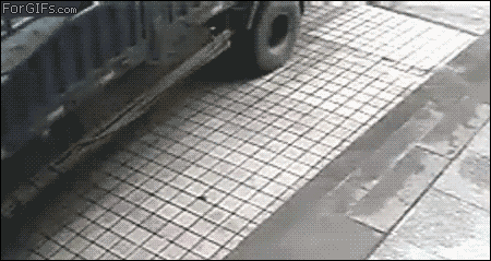 189531.gif