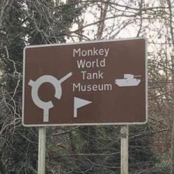 1000006376.jpeg