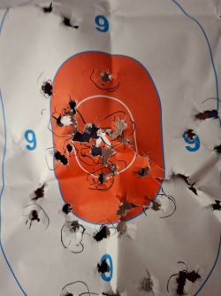 target5903.jpg