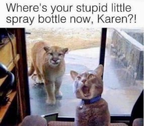 spray bpttle.jpg