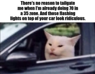 smudge tailgate.jpg